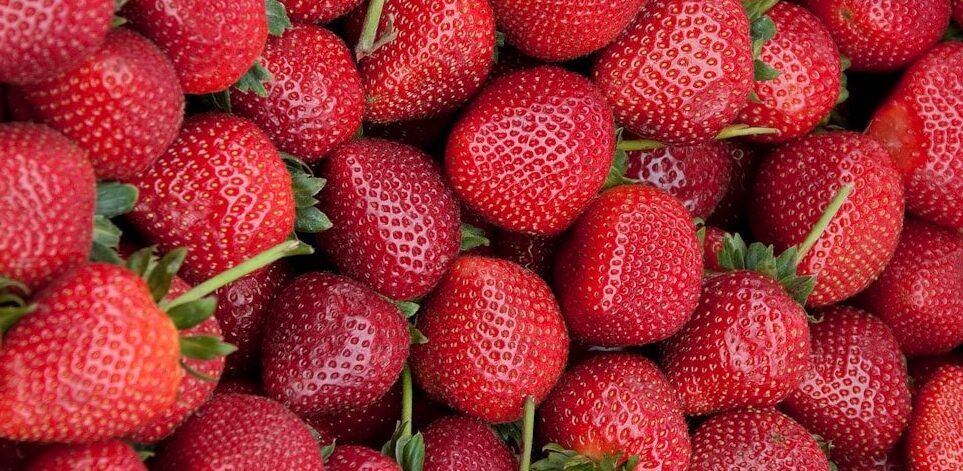 Strawberry