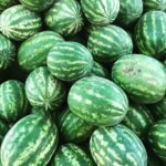 green watermelon fruit on white table