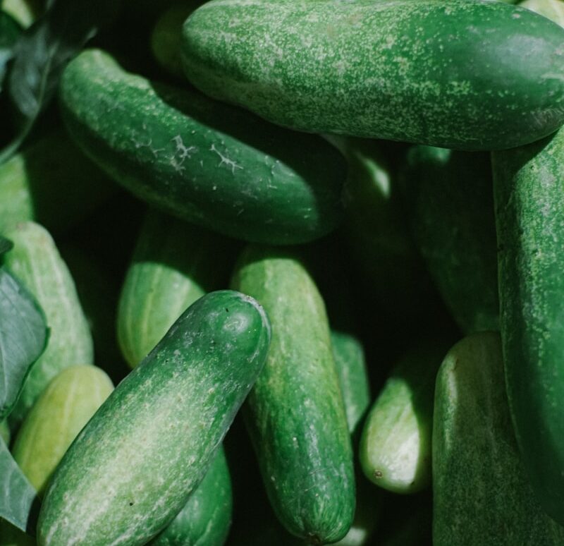 close up photo of green vegetable